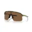 Oakley Sutro Lite Sunglasses in Fern Green 